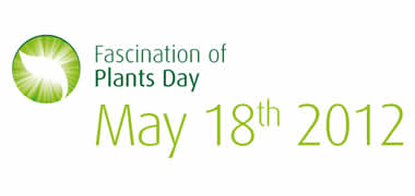 Fascinations of Plants Day at NUI Galway-image
